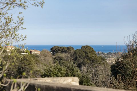 5 dormitorios Villa en Biot, France No. 99770 11