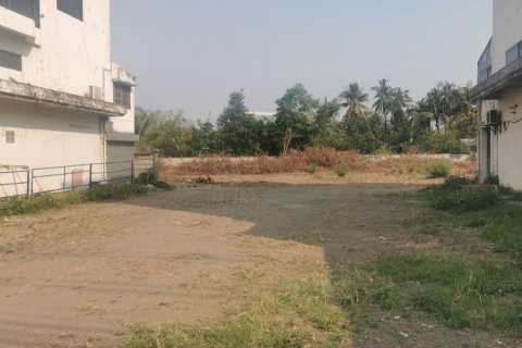 Земельный участок в Чиангмай, Таиланд №97904 6