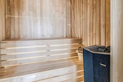 5 dormitorios Villa en Limassol, Cyprus No. 106921 14