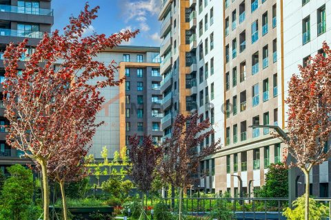 2 bedrooms Apartment in Bach Long Vi, Vietnam No. 80425 3