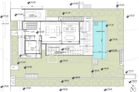 Вилла с 4 спальнями в Пейя, Кипр №74808 6