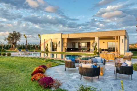 7 bedrooms Villa in An Thach Trung, Vietnam No. 80394 3