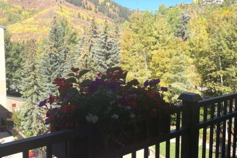 4 bedrooms Condo in Vail, USA No. 62098 14