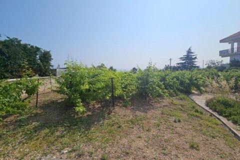 4 bedrooms Villa in Chalkidiki, Greece No. 107625 20