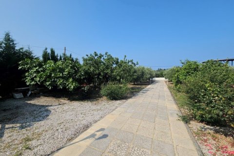 4 bedrooms Villa in Chalkidiki, Greece No. 107625 11