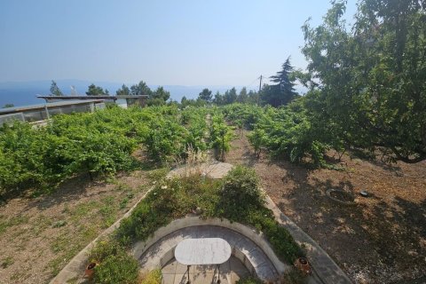 4 bedrooms Villa in Chalkidiki, Greece No. 107625 25