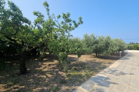 4 bedrooms Villa in Chalkidiki, Greece No. 107625 13