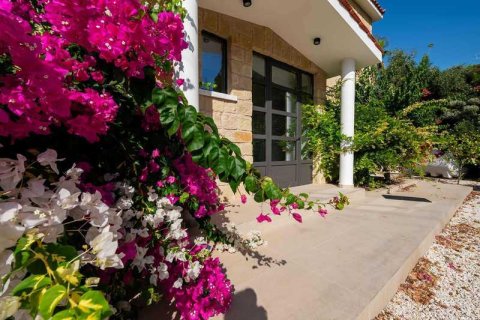 3 bedrooms Villa in Pegeia, Cyprus No. 29192 3