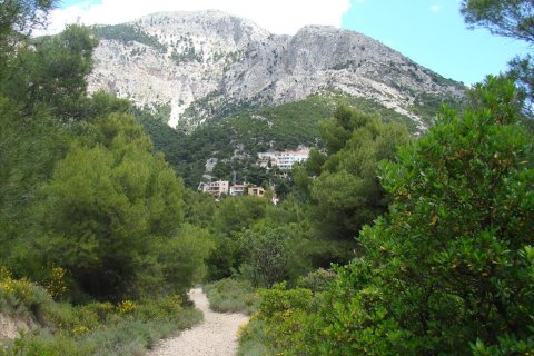 6 bedrooms House in Acharnes, Greece No. 60309 6