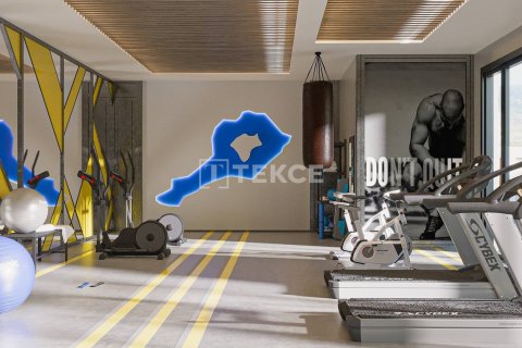 4 chambres Penthouse à Chau Lang, Vietnam No. 11613 7