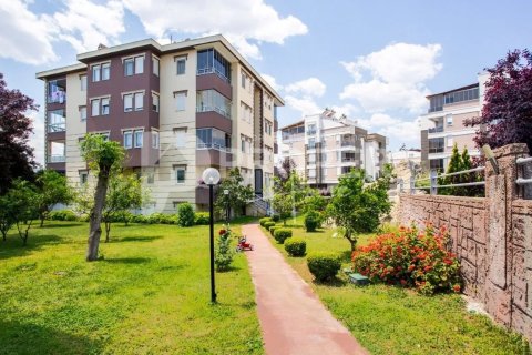 5 rooms Apartment in Thanh Khe, Vietnam No. 11441 19