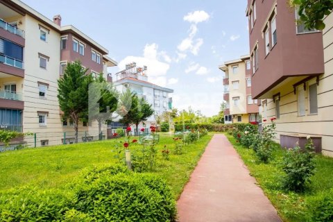 5 rooms Apartment in Thanh Khe, Vietnam No. 11441 16