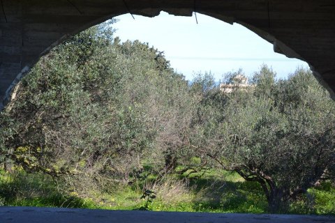 Коммерческая недвижимость с 10 спальнями в Ханья, Греция №64794 7