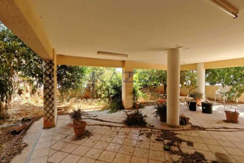 5 bedrooms House in Agios Athanasios, Cyprus No. 63546 6