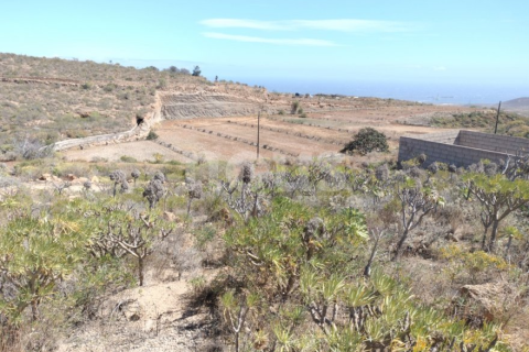 Land in Chimiche, Spain No. 128287 1