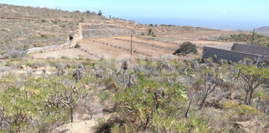 Land in Chimiche, Spain No. 128287
