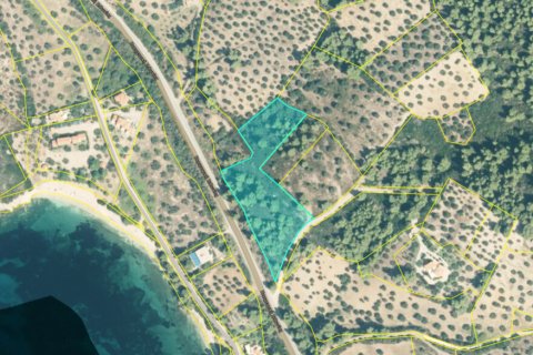 Земельный участок 7400м² в Халкидики, Греция №108283
