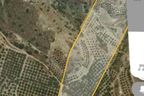 36000m² Land in Lasithi, Greece No. 107719 4