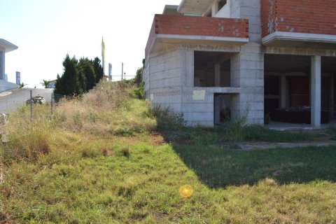 1050m² Business in Chalkidiki, Greece No. 58488 11