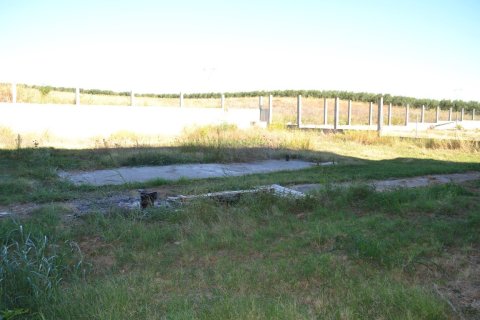 1050m² Business in Chalkidiki, Greece No. 58488 12