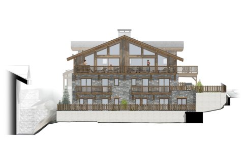 5 bedrooms House in Les Belleville, France No. 100067 12