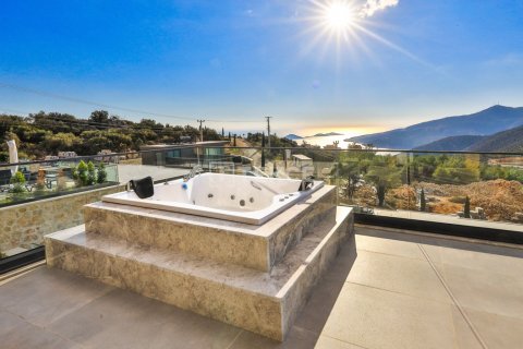 Вилла с 5 спальнями в Phuoc Tuy, Вьетнам №12372 29