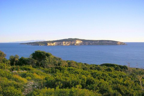 Земельный участок 13570м² в Керкира, Греция №60393 3