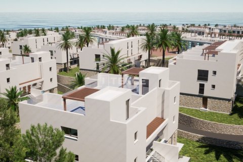 3 chambres Penthouse à Bao Thuan, Vietnam No. 14000 10