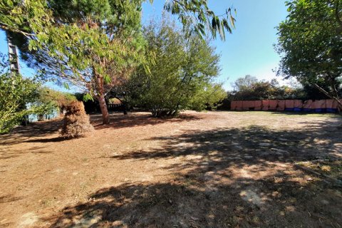 Дом с 3 спальнями в Монтжуар, Франция №69466 1