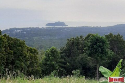 6400m² Land à Surat Thani, Thailand No. 96141 1