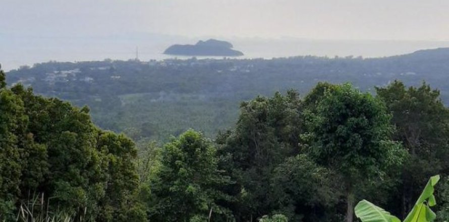 6400m² Land à Surat Thani, Thailand No. 96141