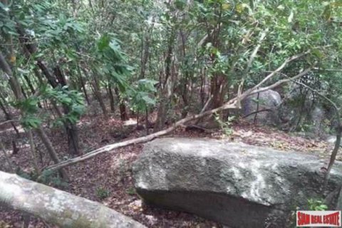 6400m² Land à Surat Thani, Thailand No. 96141 8