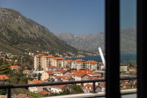 1 bedroom Apartment in Kotor, Montenegro No. 104744 22