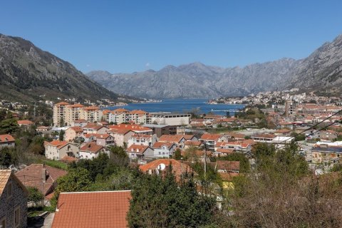 1 bedroom Apartment in Kotor, Montenegro No. 104744 20