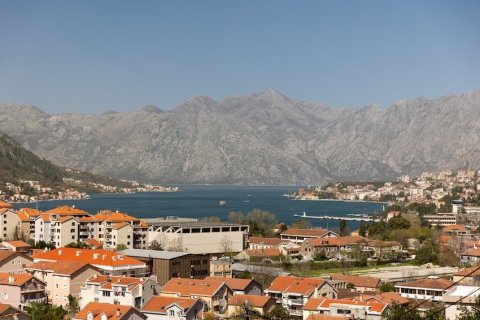 1 bedroom Apartment in Kotor, Montenegro No. 104744 21