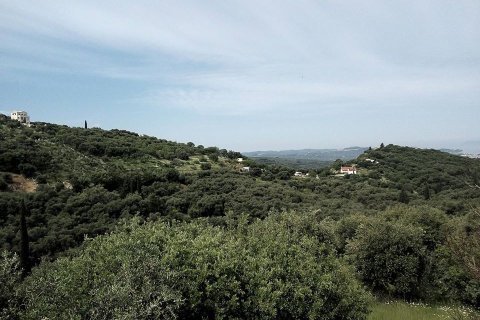 17000m² Land en Corfu, Greece No. 59198 1