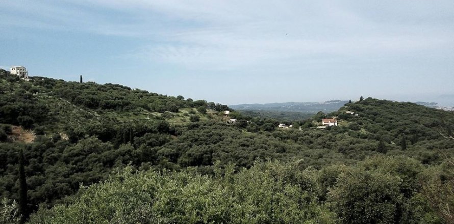 17000m² Land en Corfu, Greece No. 59198