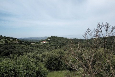 17000m² Land en Corfu, Greece No. 59198 2