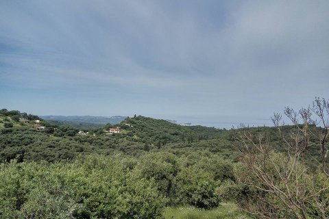 17000m² Land en Corfu, Greece No. 59198 4