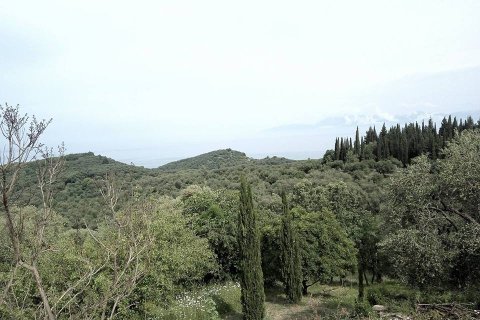 17000m² Land en Corfu, Greece No. 59198 6
