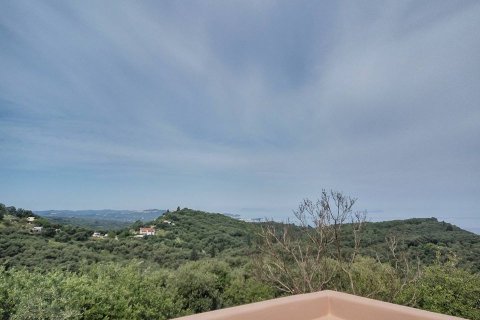 17000m² Land en Corfu, Greece No. 59198 3