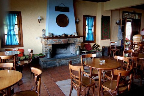 17 rooms Hotel in Pieria, Greece No. 60496 13