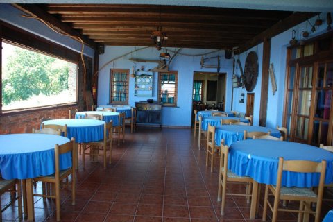 17 rooms Hotel in Pieria, Greece No. 60496 7