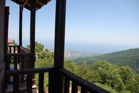 17 rooms Hotel in Pieria, Greece No. 60496 3