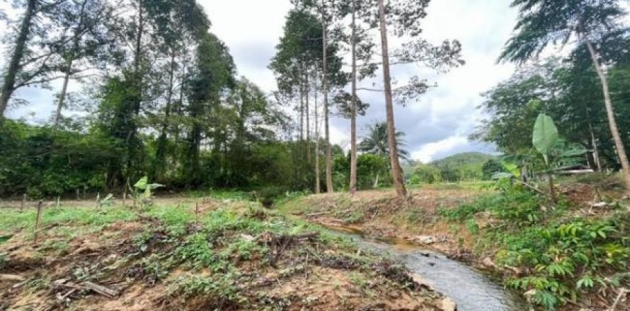 Land en Phang Nga, Thailand No. 96378