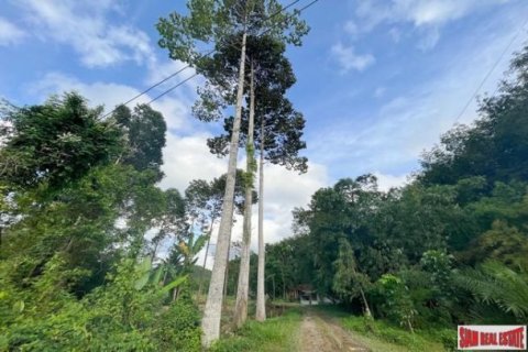 Land en Phang Nga, Thailand No. 96378 8