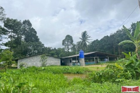 Land en Phang Nga, Thailand No. 96378 3