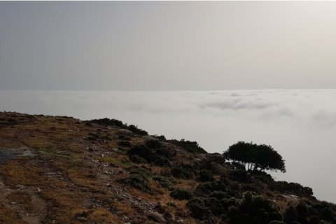 70000m² Land à Gazi, Greece No. 107759 2