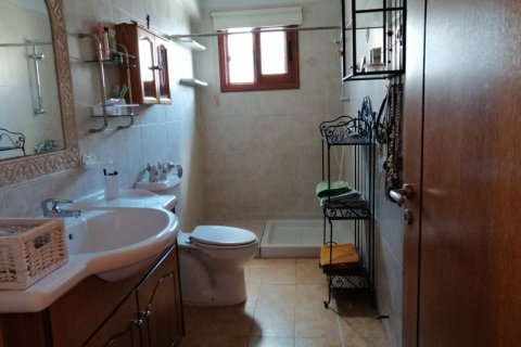 7 bedrooms House in Geroskípou, Cyprus No. 37304 18