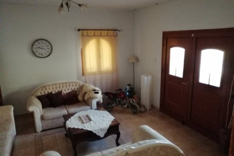 7 bedrooms House in Geroskípou, Cyprus No. 37304 14